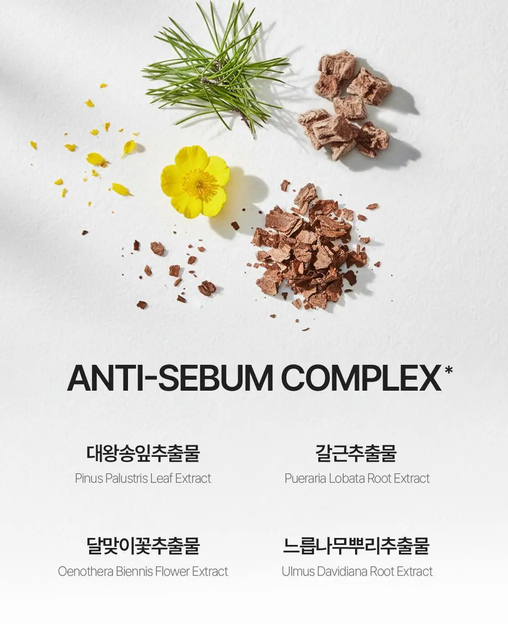 [NEW] 식물나라 멀티 선 파우더 팩트 상세페이지 12